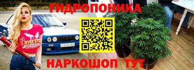 молекула духа Краснодар