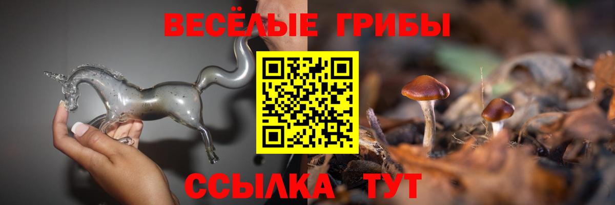 купить наркоту  Вход с VPN  Усть-Лабинск  Псилоцибиновые грибы MAGIC MUSHROOMS 